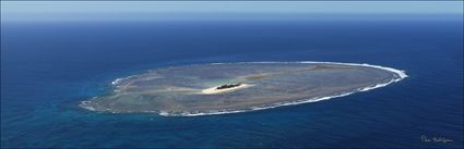 North Reef - QLD (PBH4 00 18432)